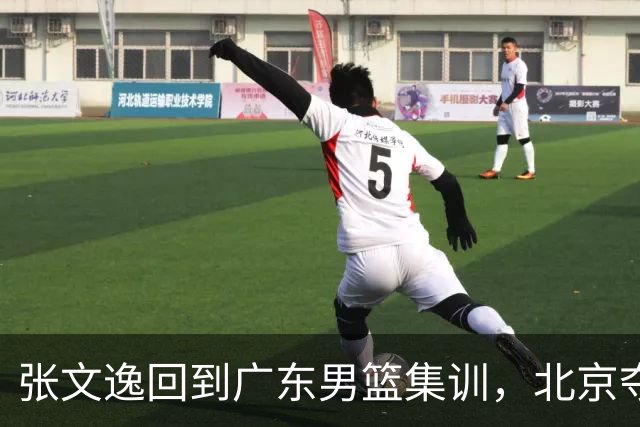张文逸回到广东男篮集训，北京夺冠功勋确定退役，上海欲续约弗格
